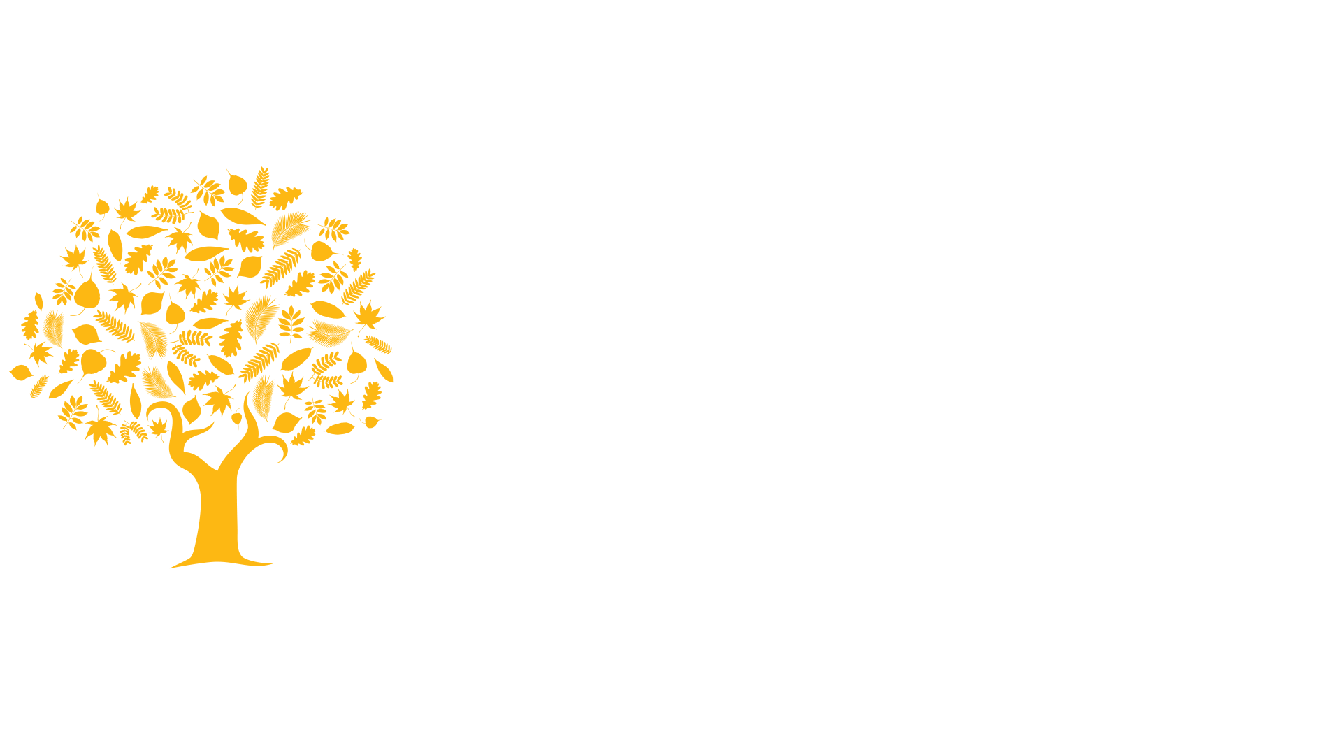 SOAS